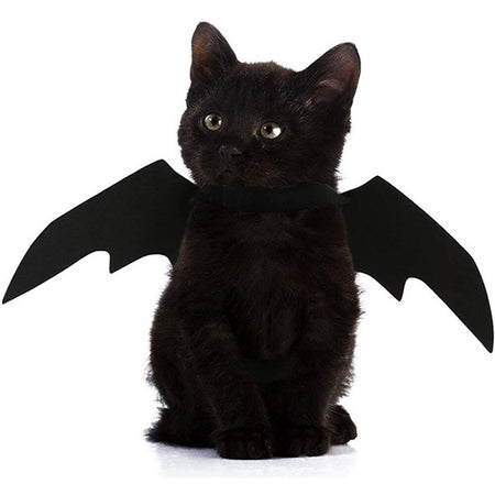 Halloween süße Haustierkleidung schwarze Fledermaus